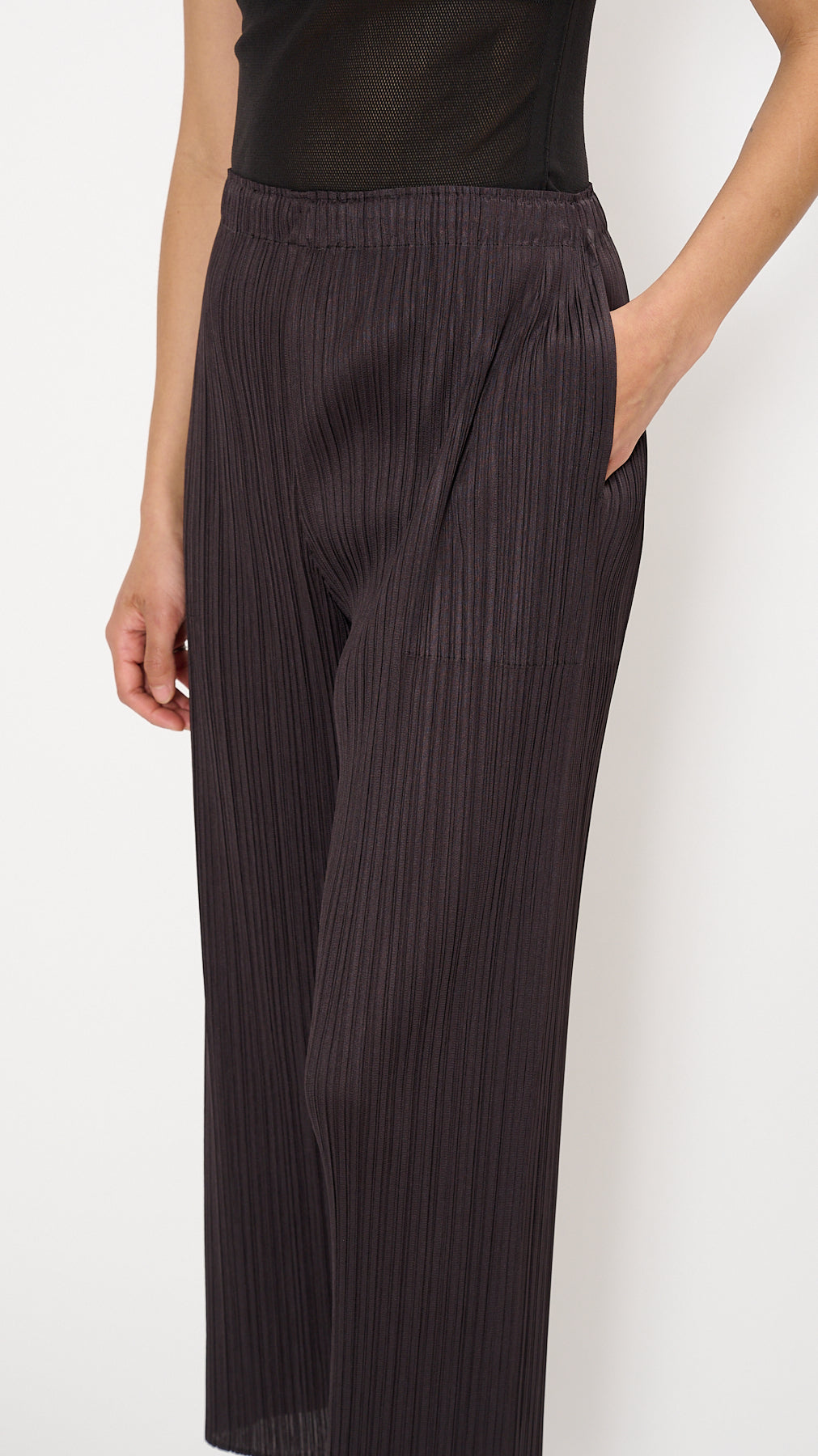 Issey Miyake Pleats Please April Monthly Colors Pants in Black Pepper –  Diamond Dream Jewelry + Apparel